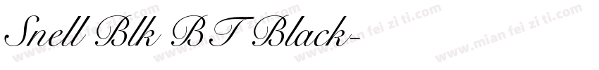 Snell Blk BT Black字体转换